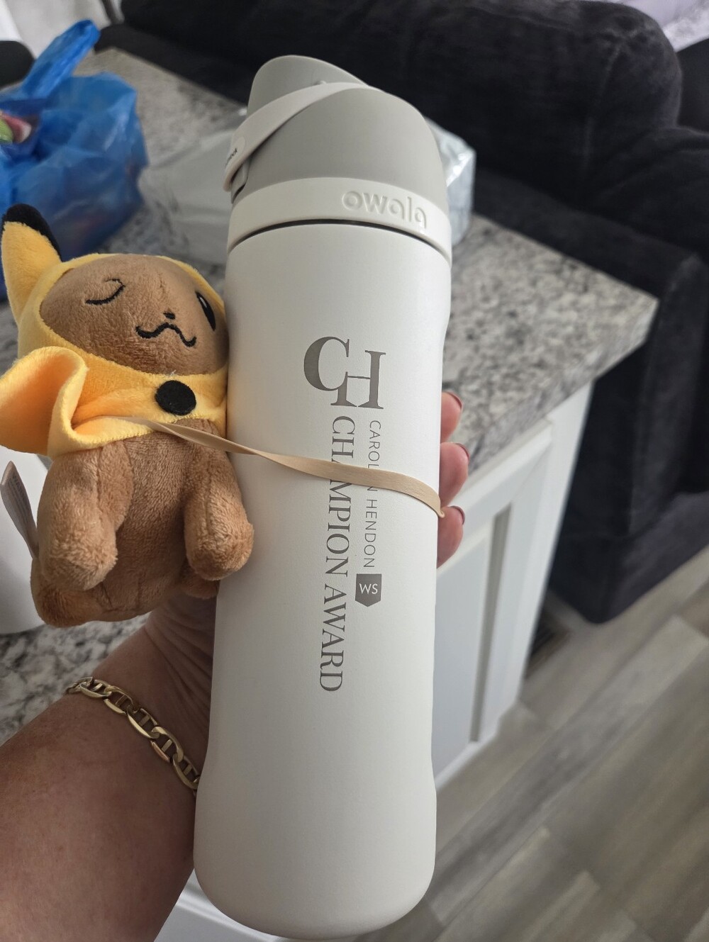 New Owala Thermal Water Bottles